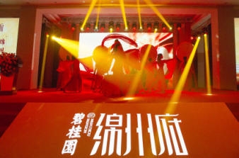 慶典、團(tuán)拜、大型會議，過年特惠